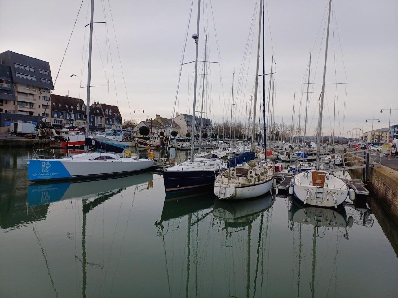 Le 501 F2 De Plain-Pied Avec Terrasse Apartment Courseulles-sur-Mer Luaran gambar
